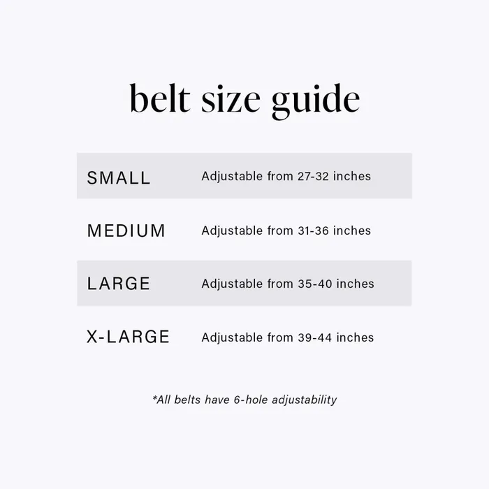 Women Brahmin Belts Medium Leather Gold Buckle Belt Grey Classic Snake Women Brahmin Belts Medium Leather Gold Buckle Belt Grey Classic Snake