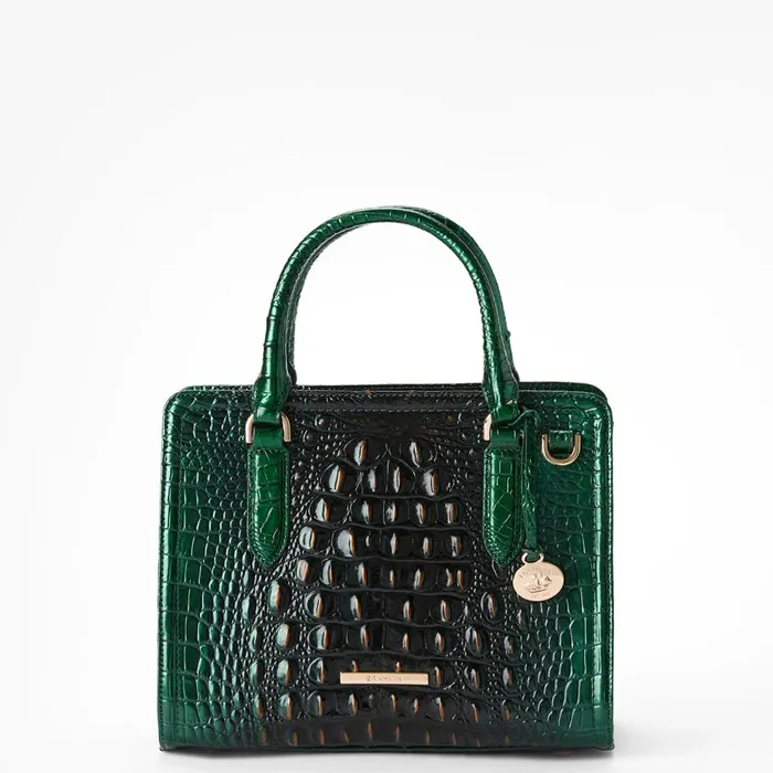 Women Brahmin Satchels Cami Evergreen Ombre