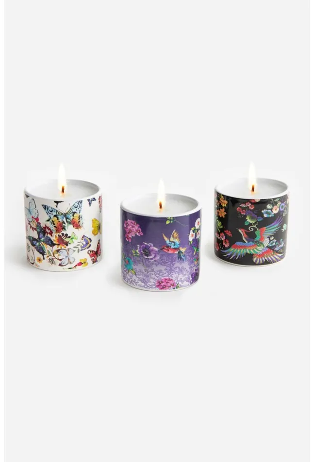 Women Fine Set Of 3 Votive Candles Multi Johnny Was Home Fragrance